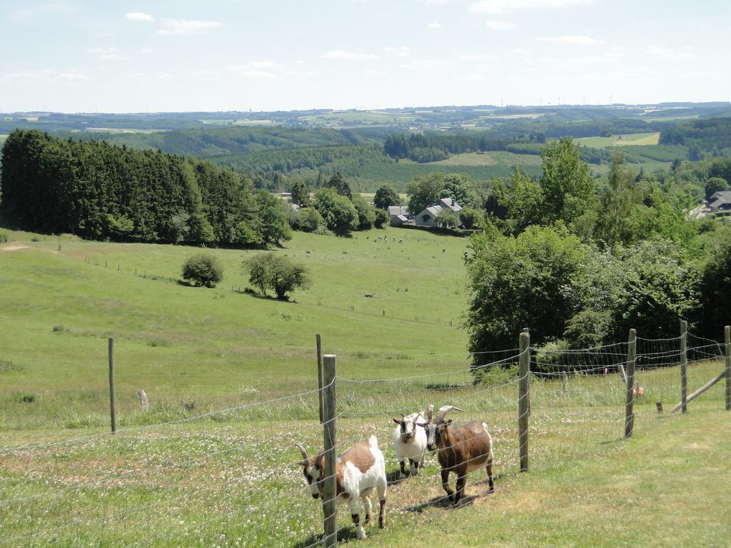 Holiday Home A Pas De Loup La-Roche-en-Ardenne Oda fotoğraf