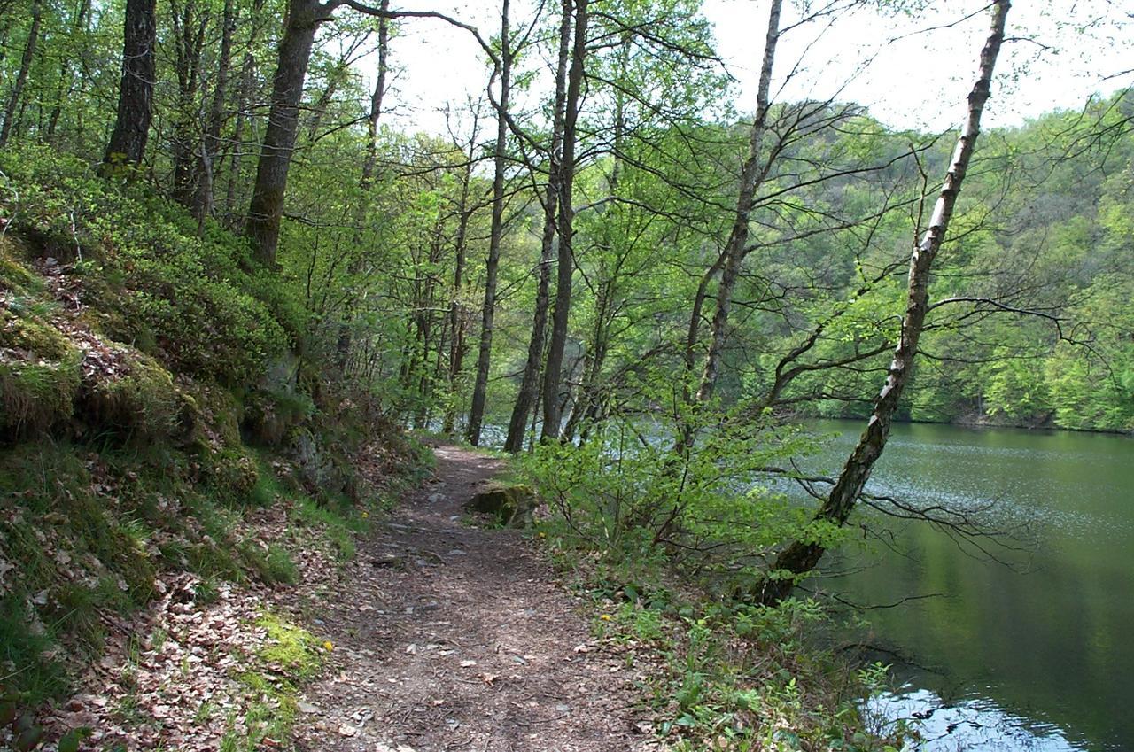 Holiday Home A Pas De Loup La-Roche-en-Ardenne Dış mekan fotoğraf